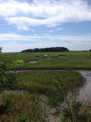 Marsh overlook