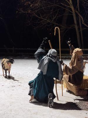 The tradition continues for our fam' for one more year ... Living Nativity on camel night!