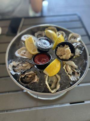 Oysters - Dozen