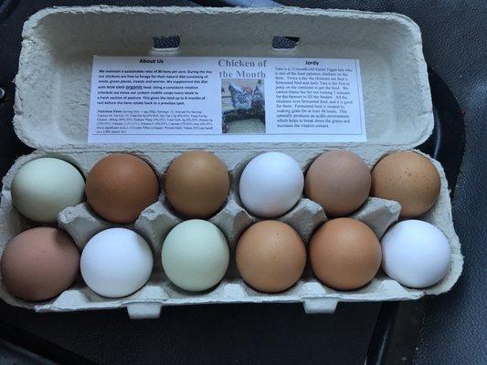 Look at these beautiful eggs!