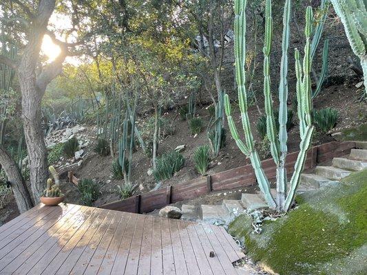 Pressure treated lumber retaining lines help to mitigate slopes' erosion.