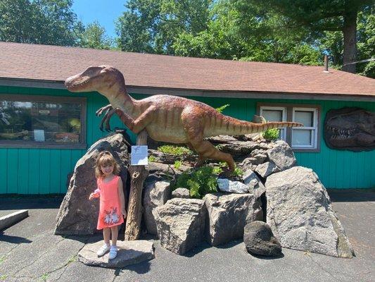 The Rock, Fossil, & Dinosaur Shop