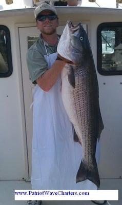 That's a nice 45 plus pounder.