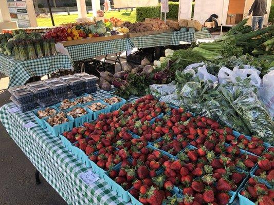 Local Strawberries, shitaki mushrooms, blueberries, organic mixed greens, baby kale  , spinach, beats and celery