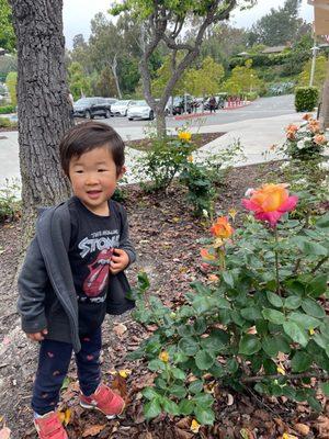 Flowers in front of school building and spacious parking.