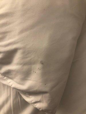 Stains on pillows