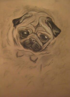 emmy the pug :)