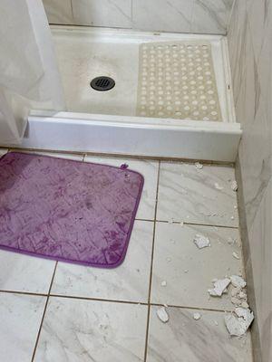 Shower- grimy & debris everywhere