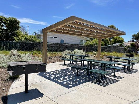 Shaded picnic tables with BBQ grills.