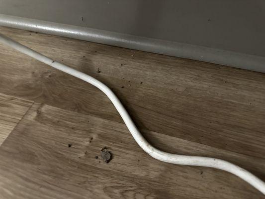 Dirt clumps covered the bedroom flooring.