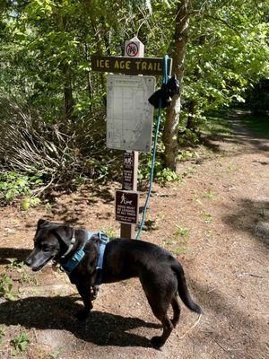 Ice Age Trailhead