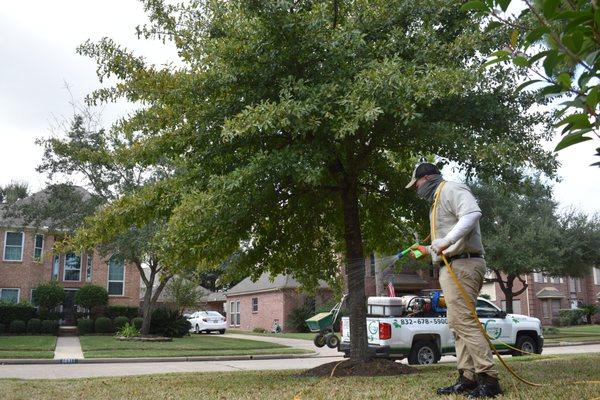 Green Bee Lawn Care