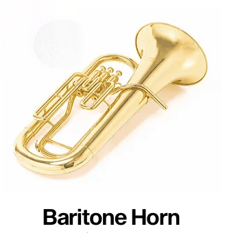 Our baritone horn rentals are perfect for young musicians ready to make a big sound.