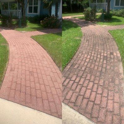 before and after 
soft wash & pressure wash