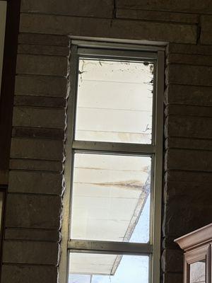 Inside the mausoleum looking out at the soffit