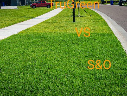 My neighbors TruGreen lawn vs my S&O lawn