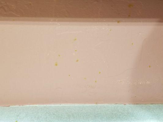 The kitchen island wall by the counter top.