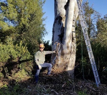 Joel's Tree Service