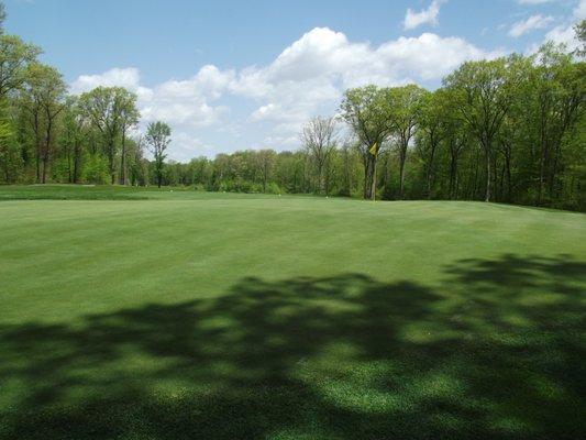 Hole # 8 Green