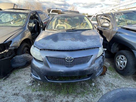 2010 Toyota Corolla parting out