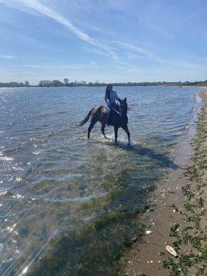 Horseback riding at the beach