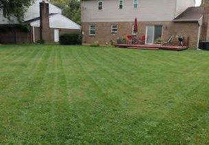 We offer lawn maintenance service if you need and estimate for your lawn give us  call