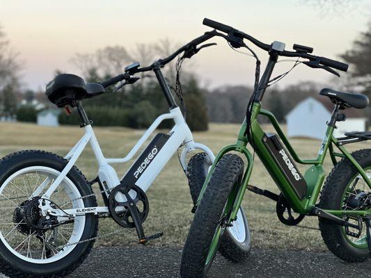 Conquer the road with the Pedego Element!