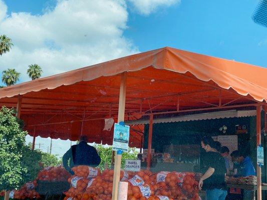 Best oranges! Very sweet and juicy