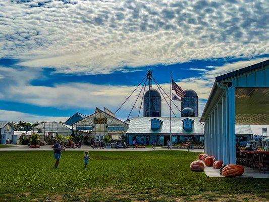 It was a beautiful day to visit the farm! $12 wristbands on Fridays