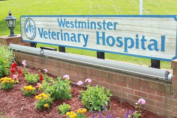 Welcome to Westminster Veterinary Hospital!