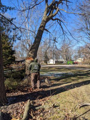 Top Notch Tree Service Fort Wayne