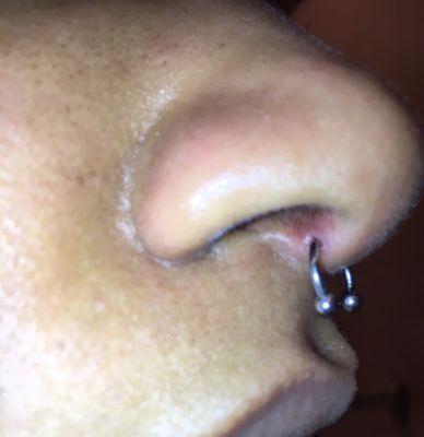 This is how to NOT pierce a septum ladies and gentlemen. He pierced my cartilage and not the "sweet spot". Go elsewhere!!!!