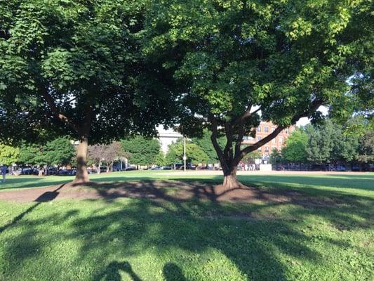 Facing the baseball diamond