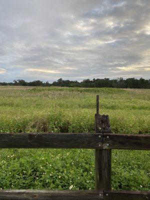 Fort Fraser Trail