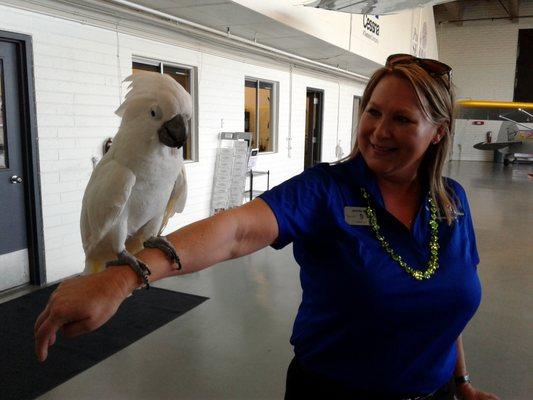 Broken Wing's Zeus making Friends at Ross Aviation and Cessna Aircraft Corporation