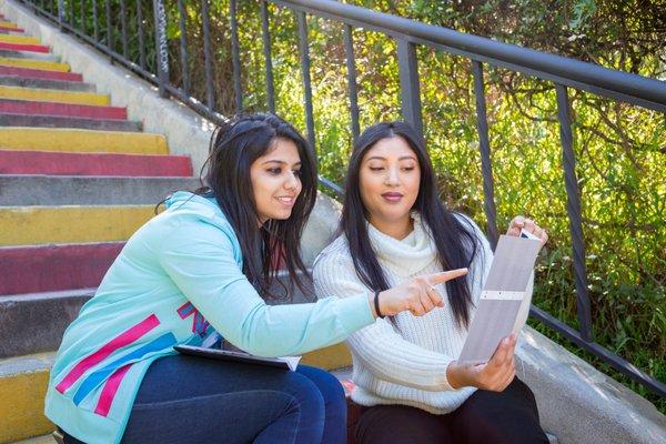 jóvenes profesionales con ideas nuevas para ayudarle en su negocio