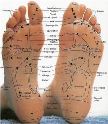 Reflexology