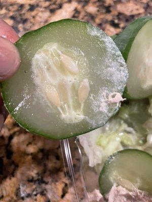 Mushy cucumber