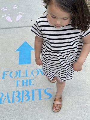 Follow the rabbits