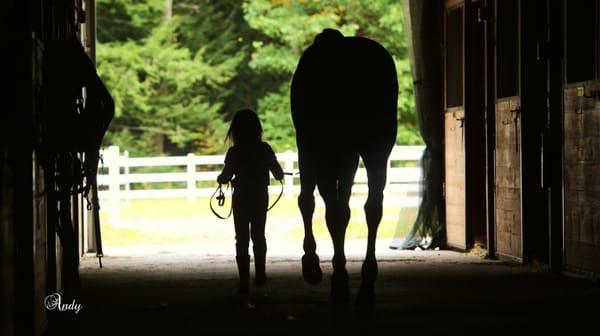 Taylor River Farm