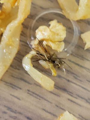 They refused to give me a refund after I found a huge bug in my pad thai. I'll never go back.