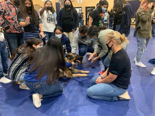 Barker Haus has offered therapy session to local schools!