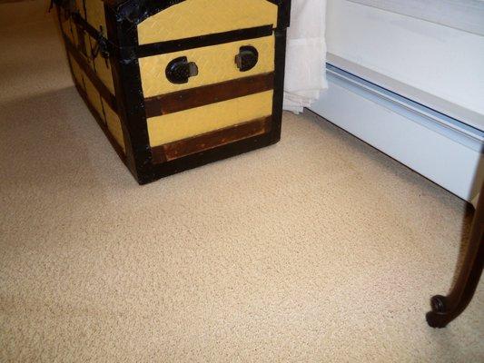 75-80% of carpets we clean are off-white/ cream color that blends with most Decorator's planning.