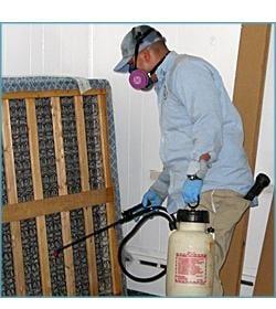 SHS Pest Control bed bug service