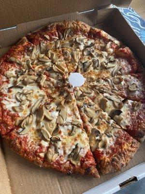 Mushroom pizza