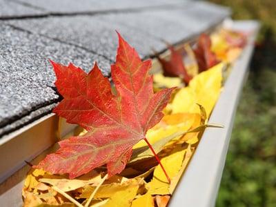 Gutter Cleaning