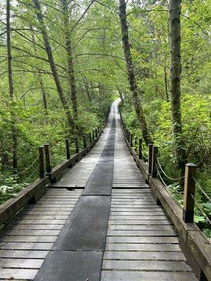 The very magical Jurassic Park Bridge between holes 12 and 13!!