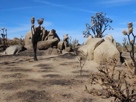 Some great rock outcrops along the way.