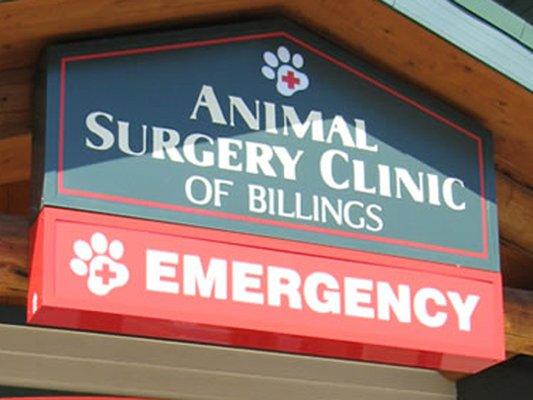 Pet emergency?   call us, (406) 252-9499,  24/7