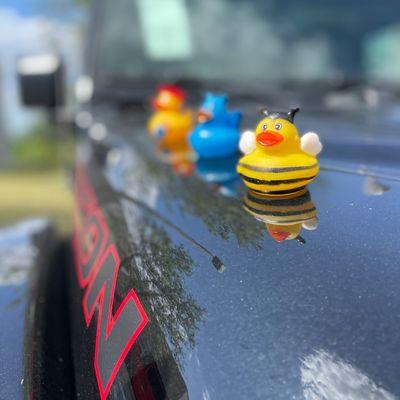 Have you been ducked? @jaxcjdr #duckduckjeep #duckingjeeps #duckduckjaxcjdr